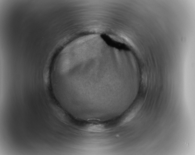 X0000088390403200706051121