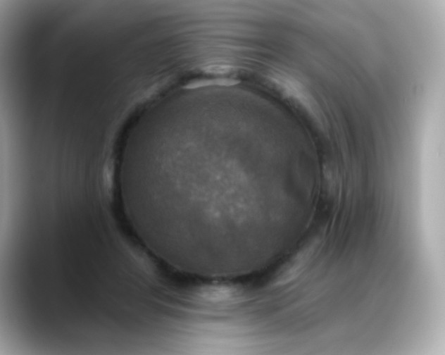 X0000088390404200706051121