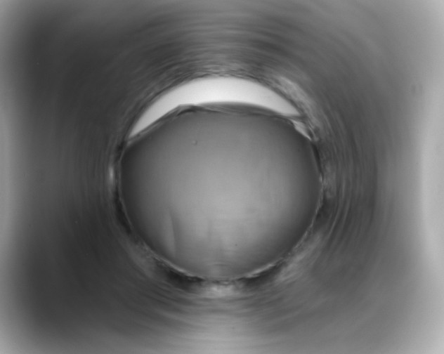 X0000088390405200706051121