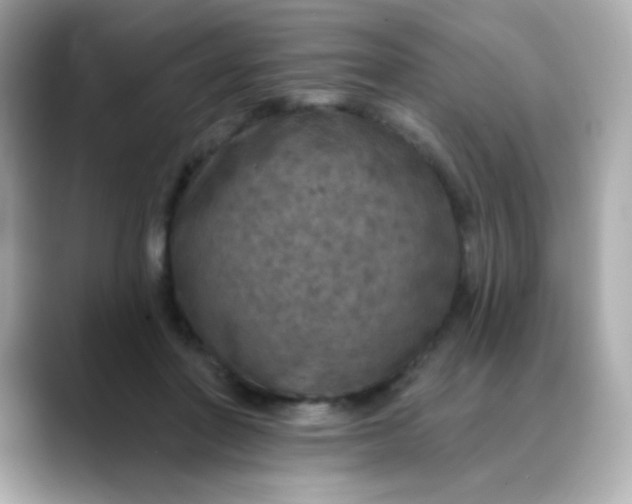 X0000088390406200706051121