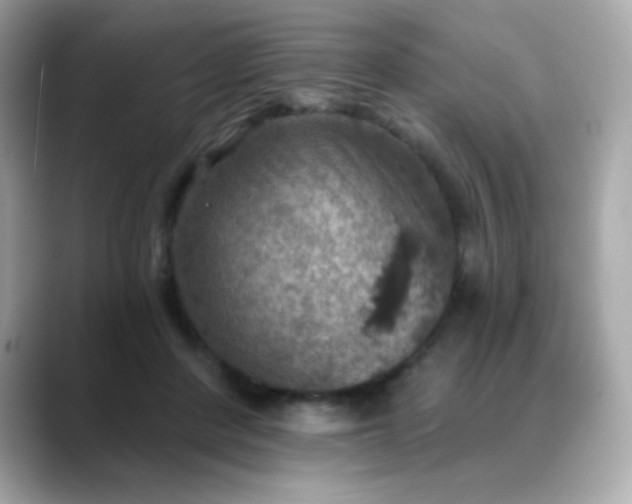 X0000088390408200706051121