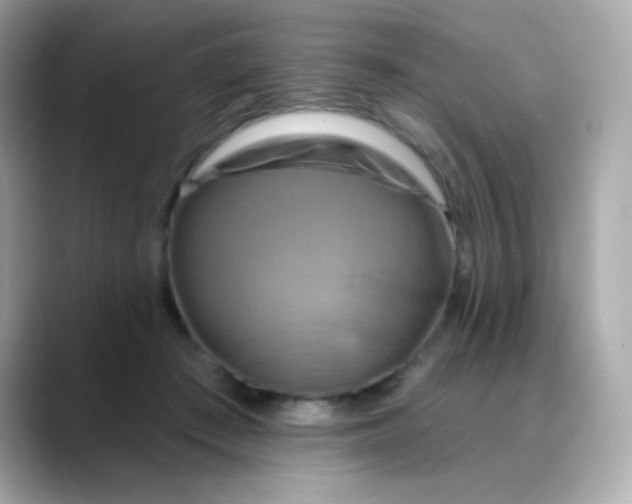 X0000088390409200706051121