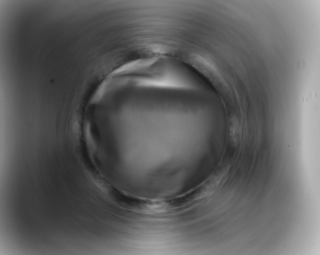 X0000088390410200706051121