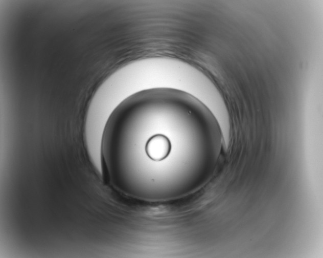 X0000088390411200706051121