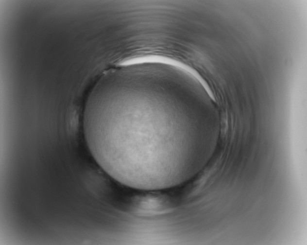 X0000088390412200706051121