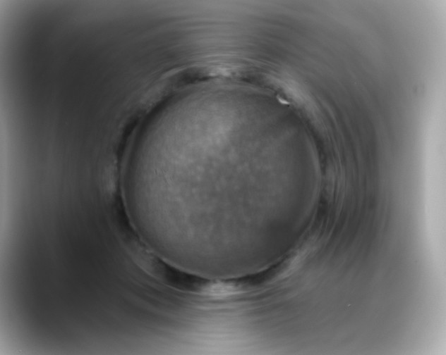 X0000088390413200706051121