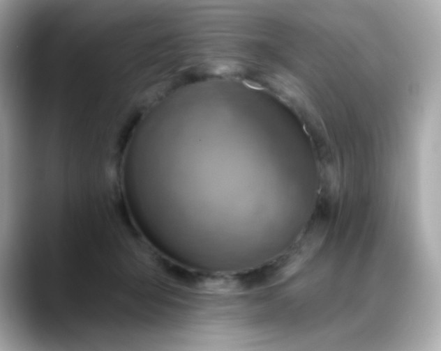 X0000088390415200706051121