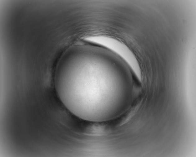 X0000088390416200706051121