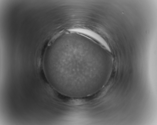 X0000088390417200706051121