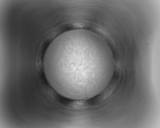 X0000088390418200706051121