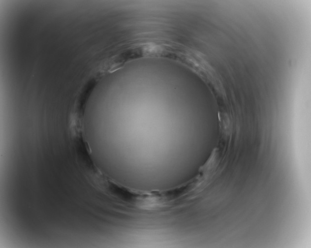 X0000088390419200706051121