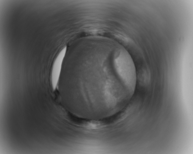 X0000088390420200706051121