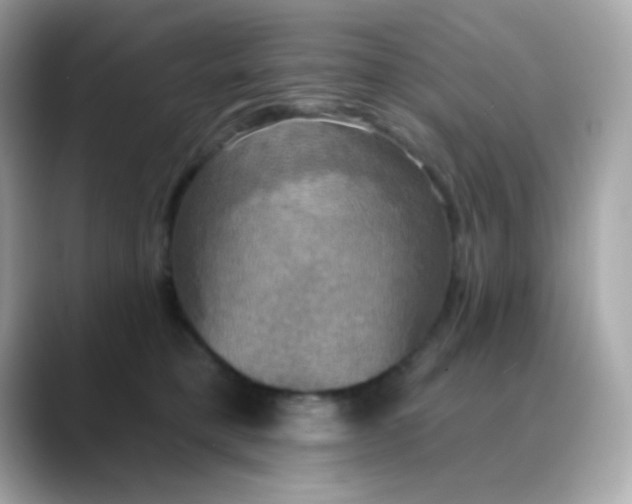 X0000088390421200706051121