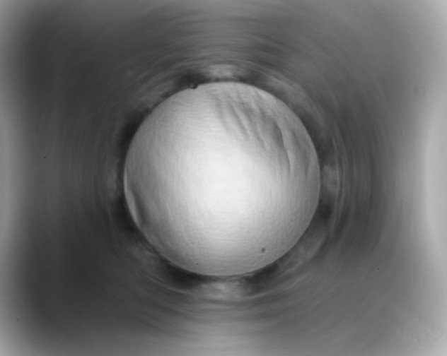 X0000088390422200706051121