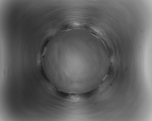 X0000088390423200706051121