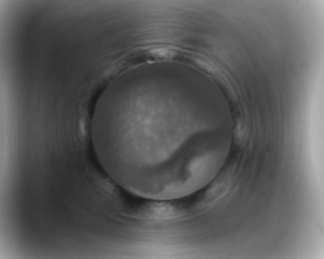 X0000088390424200706051121