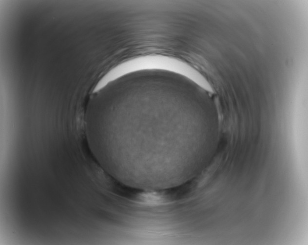 X0000088390425200706051121