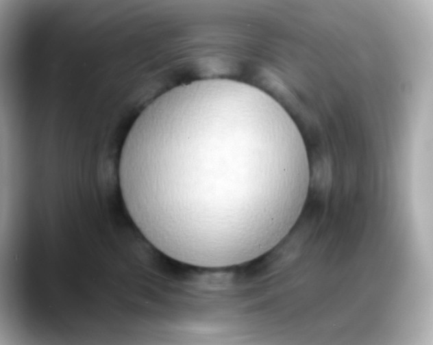 X0000088390426200706051121