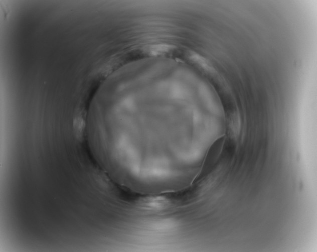 X0000088390427200706051121