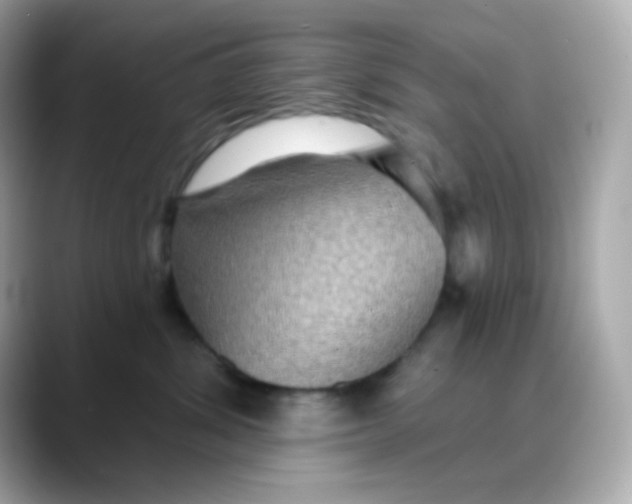 X0000088390428200706051121