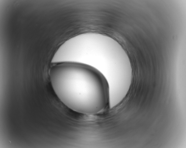 X0000088390429200706051121