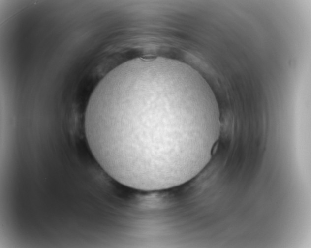 X0000088390430200706051121