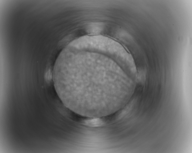 X0000088390431200706051121