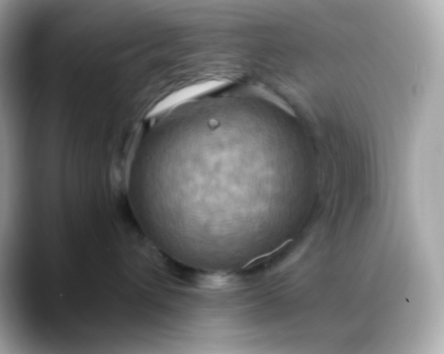 X0000088390432200706051121