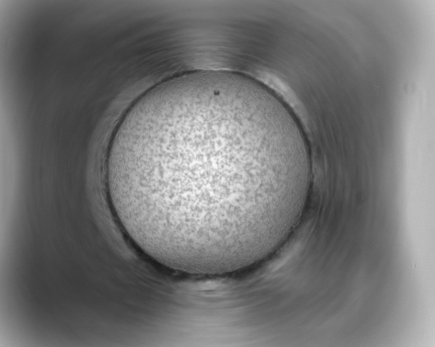 X0000088390433200706051120