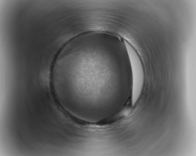 X0000088390434200706051120