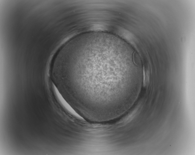 X0000088390435200706051120