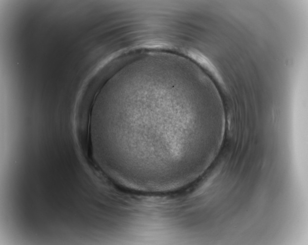 X0000088390436200706051120