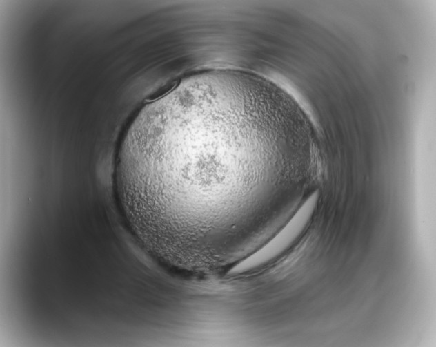 X0000088390437200706051120