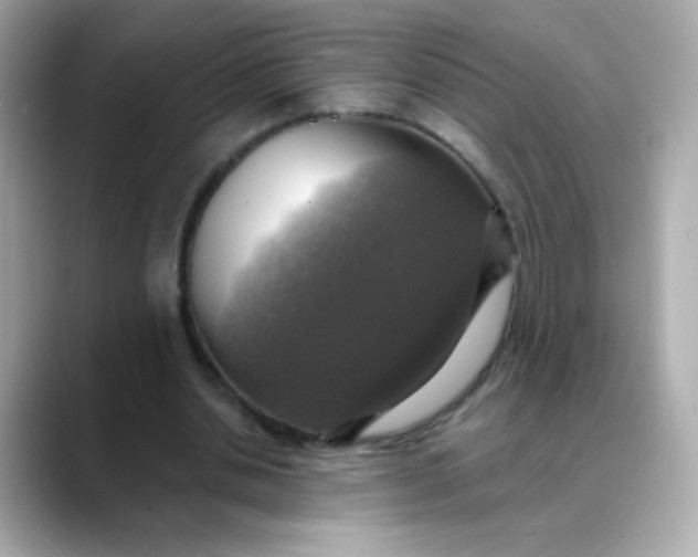 X0000088390438200706051120