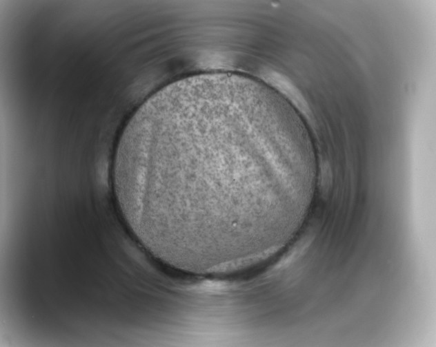 X0000088390441200706051120