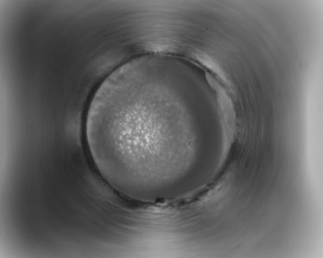 X0000088390442200706051120