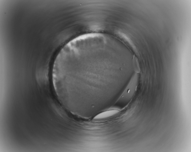 X0000088390443200706051120