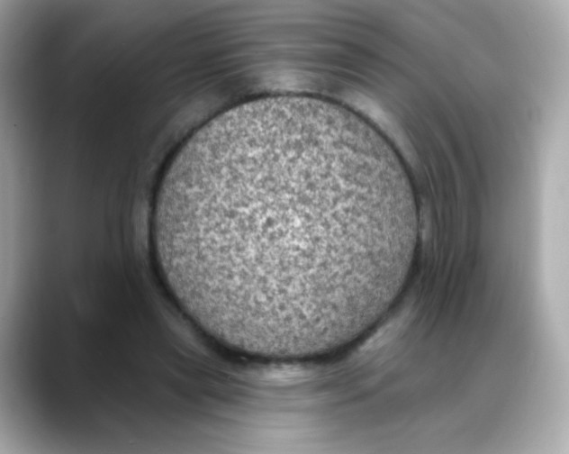 X0000088390445200706051120