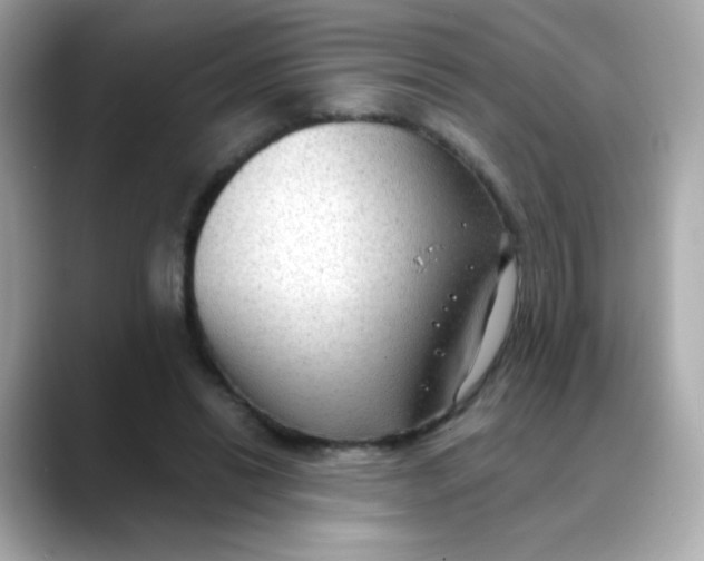 X0000088390446200706051120