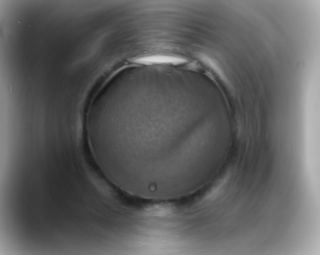 X0000088390447200706051120