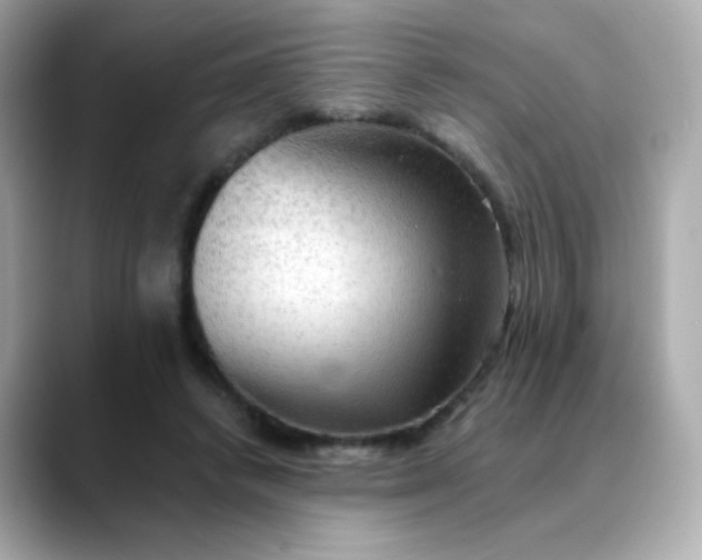 X0000088390448200706051120