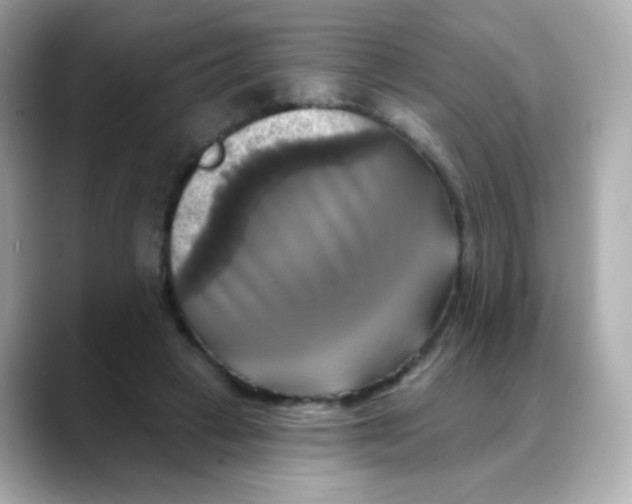 X0000088390449200706051120