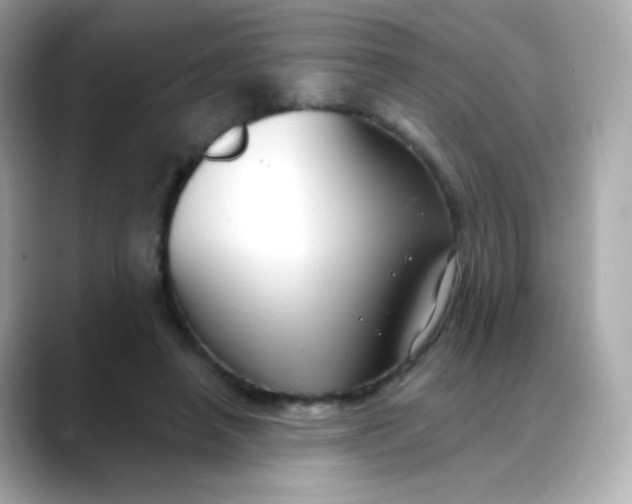 X0000088390450200706051120