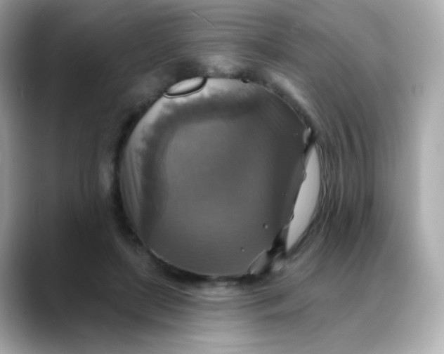 X0000088390451200706051120