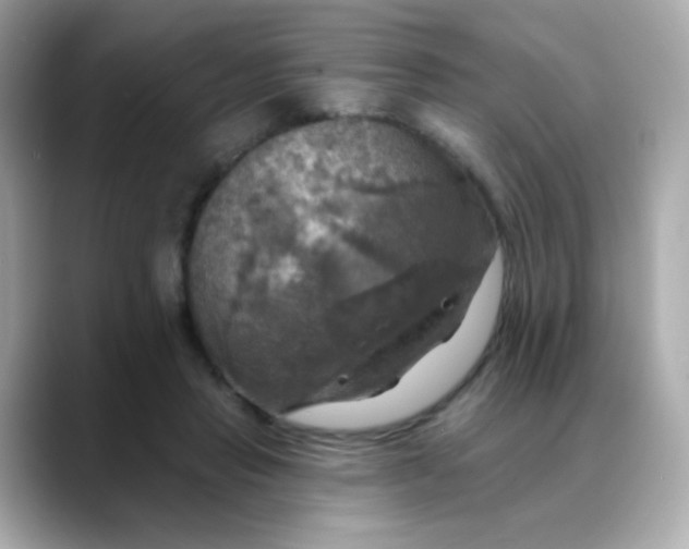 X0000088390453200706051120