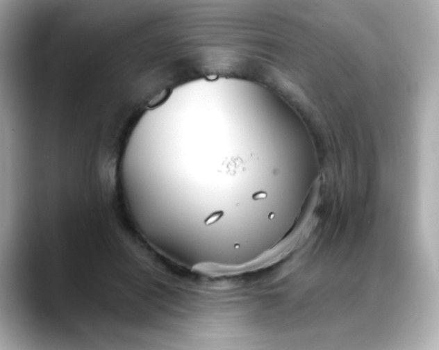 X0000088390454200706051120