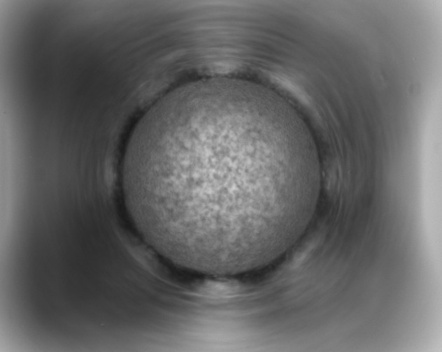 X0000088390455200706051120