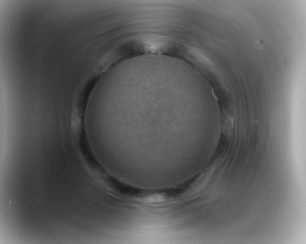 X0000088390456200706051120