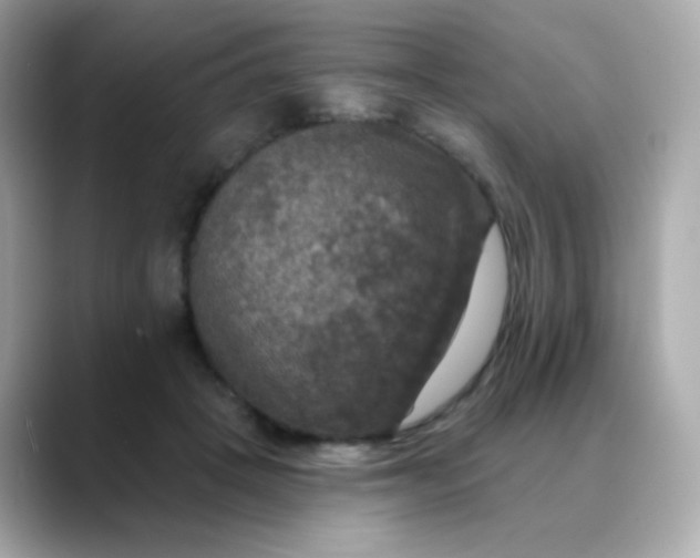 X0000088390457200706051120