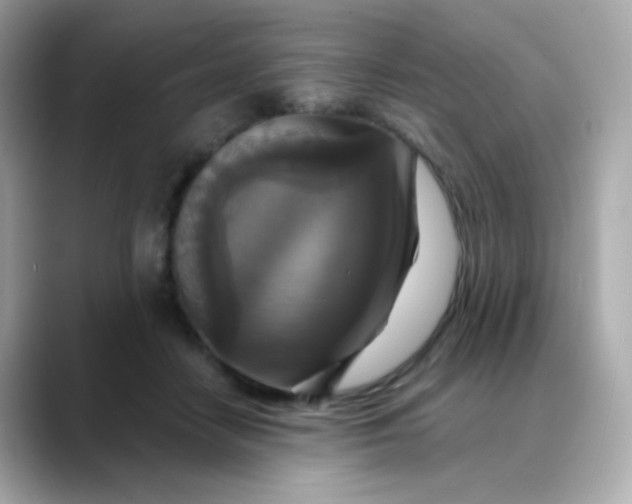 X0000088390458200706051120